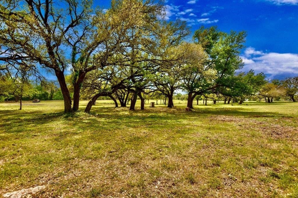 11.78 acres in Burnet County - photo 19