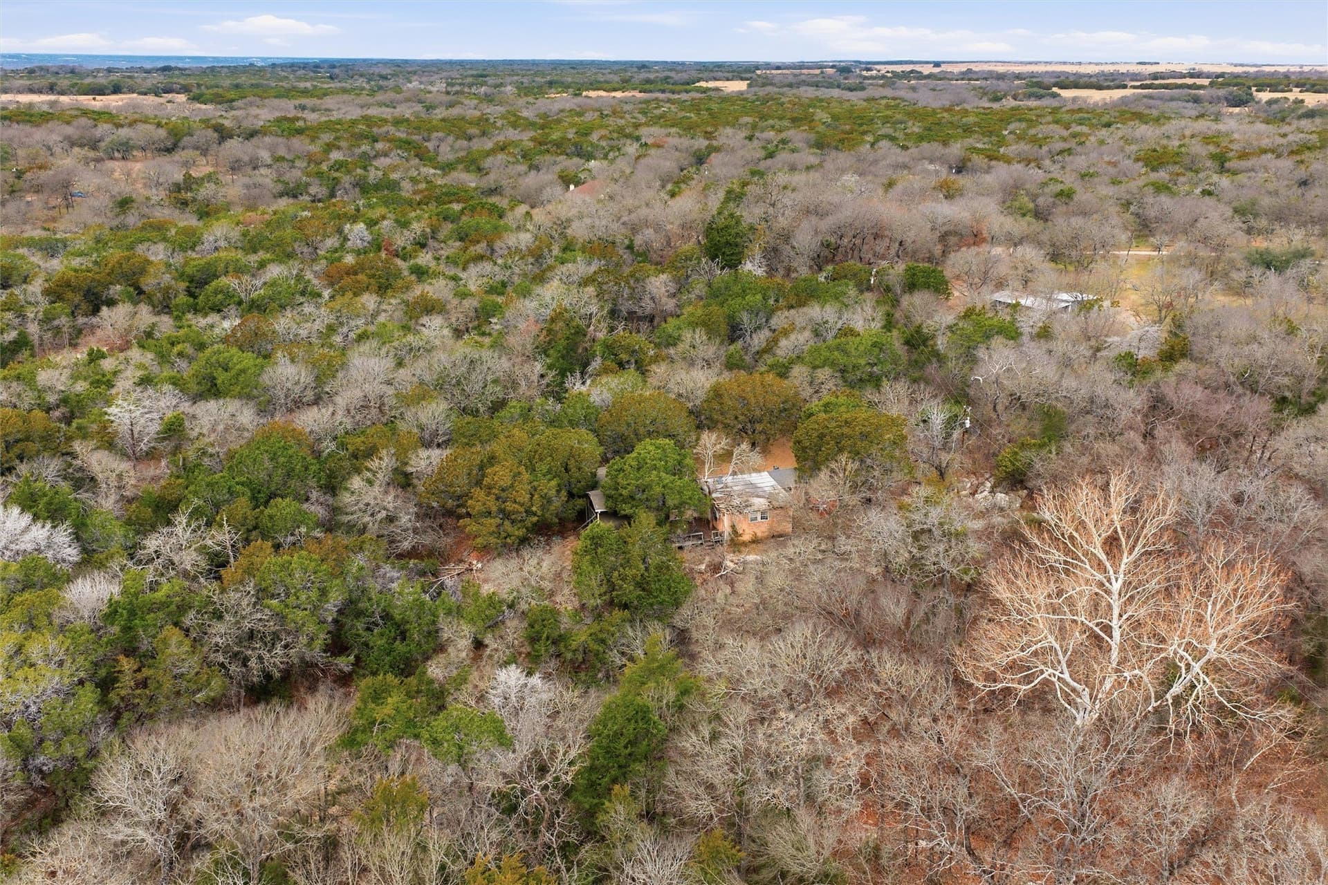 11.85 acres in McLennan County gallery image 4