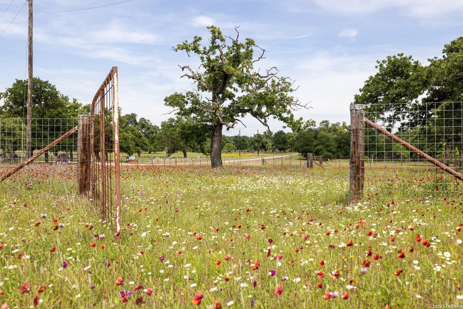 20 acres in Gillespie County - photo 43