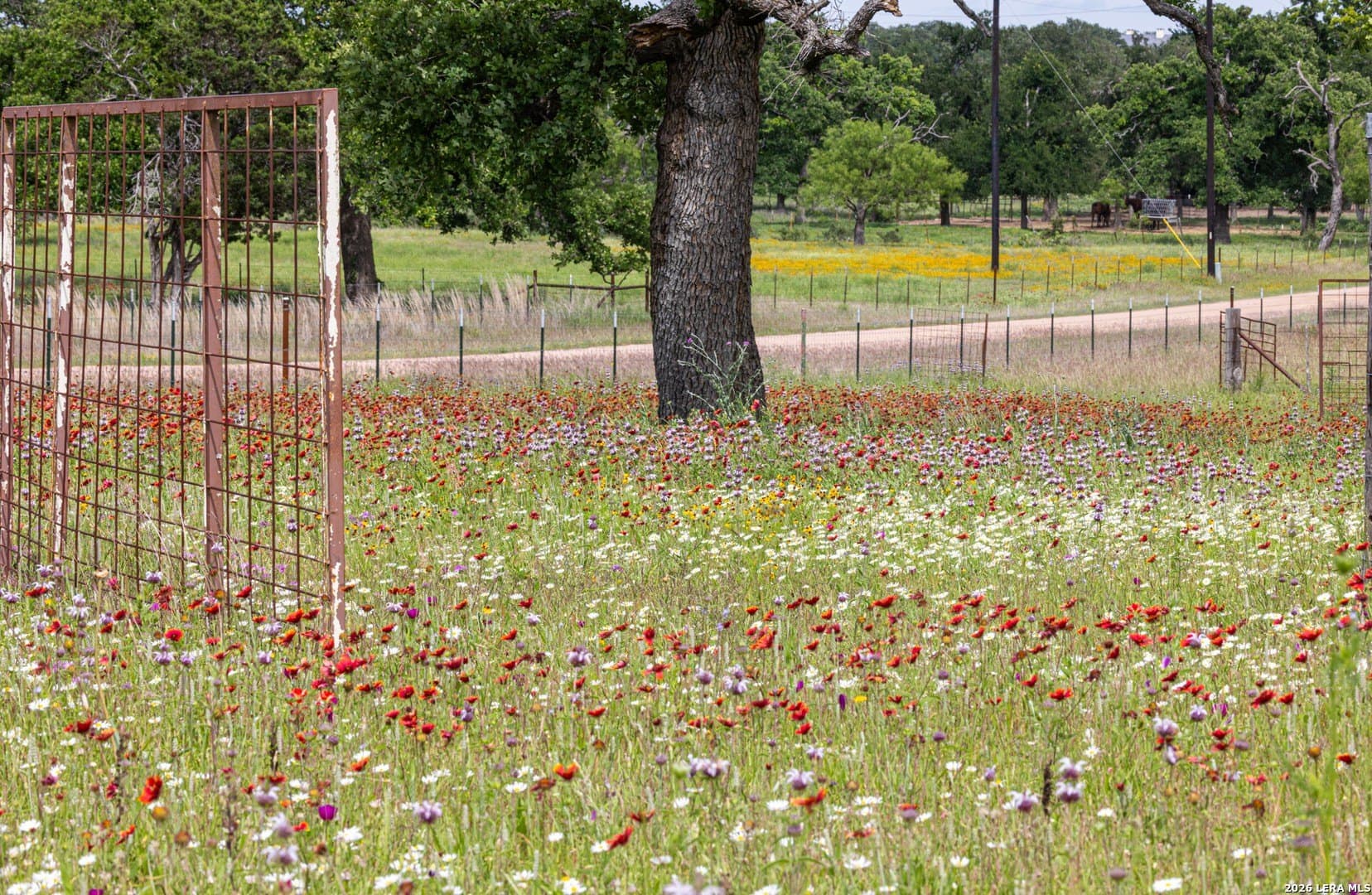 20 acres in Gillespie County - photo 44