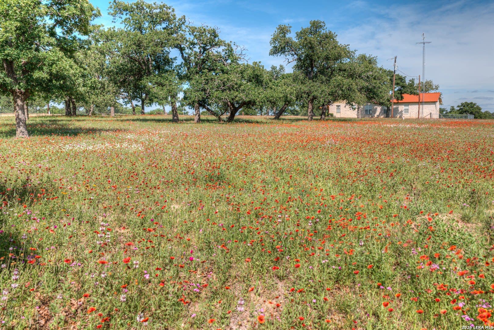 20 acres in Gillespie County - photo 42