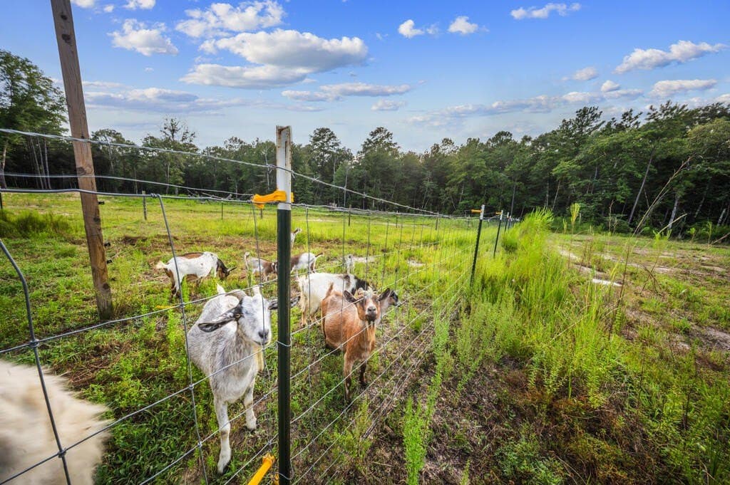 16.93 acres in Texas County - photo 17
