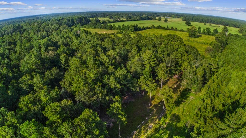 16.93 acres in Texas County - photo 24