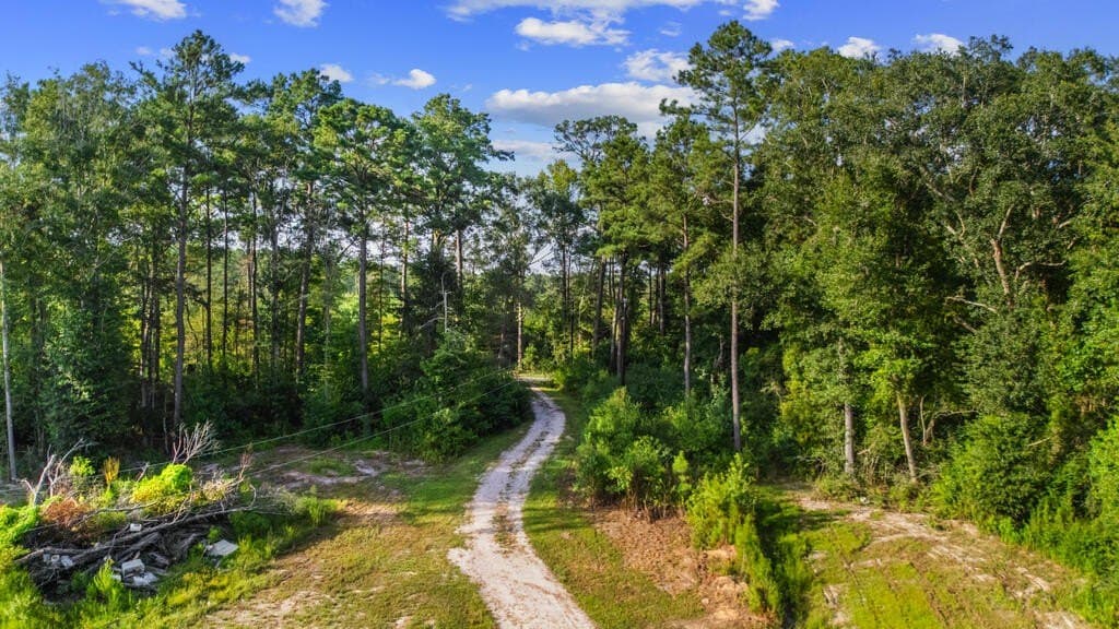 16.93 acres in Texas County - photo 16