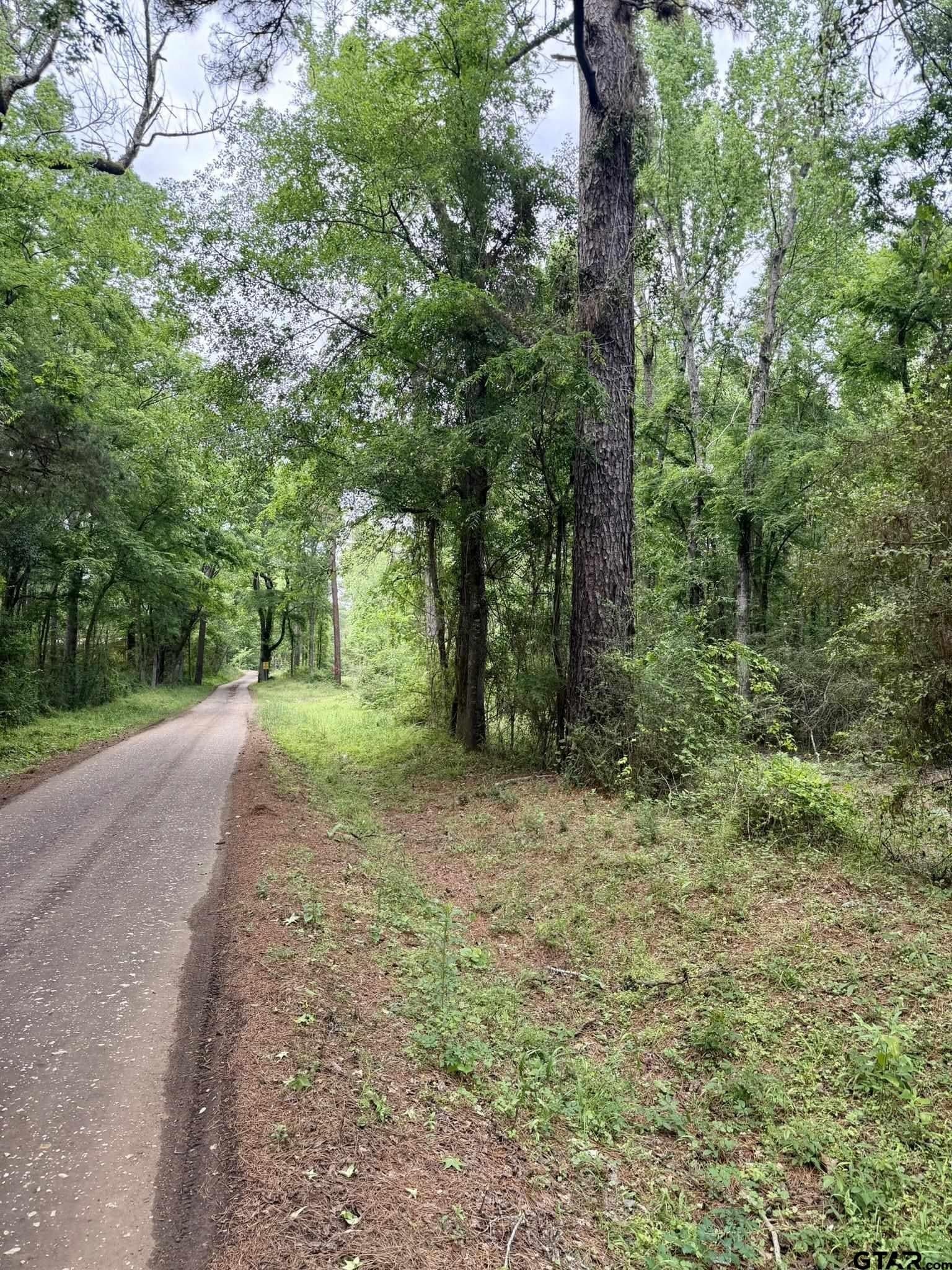 23.41 acres in Shelby County gallery image 2