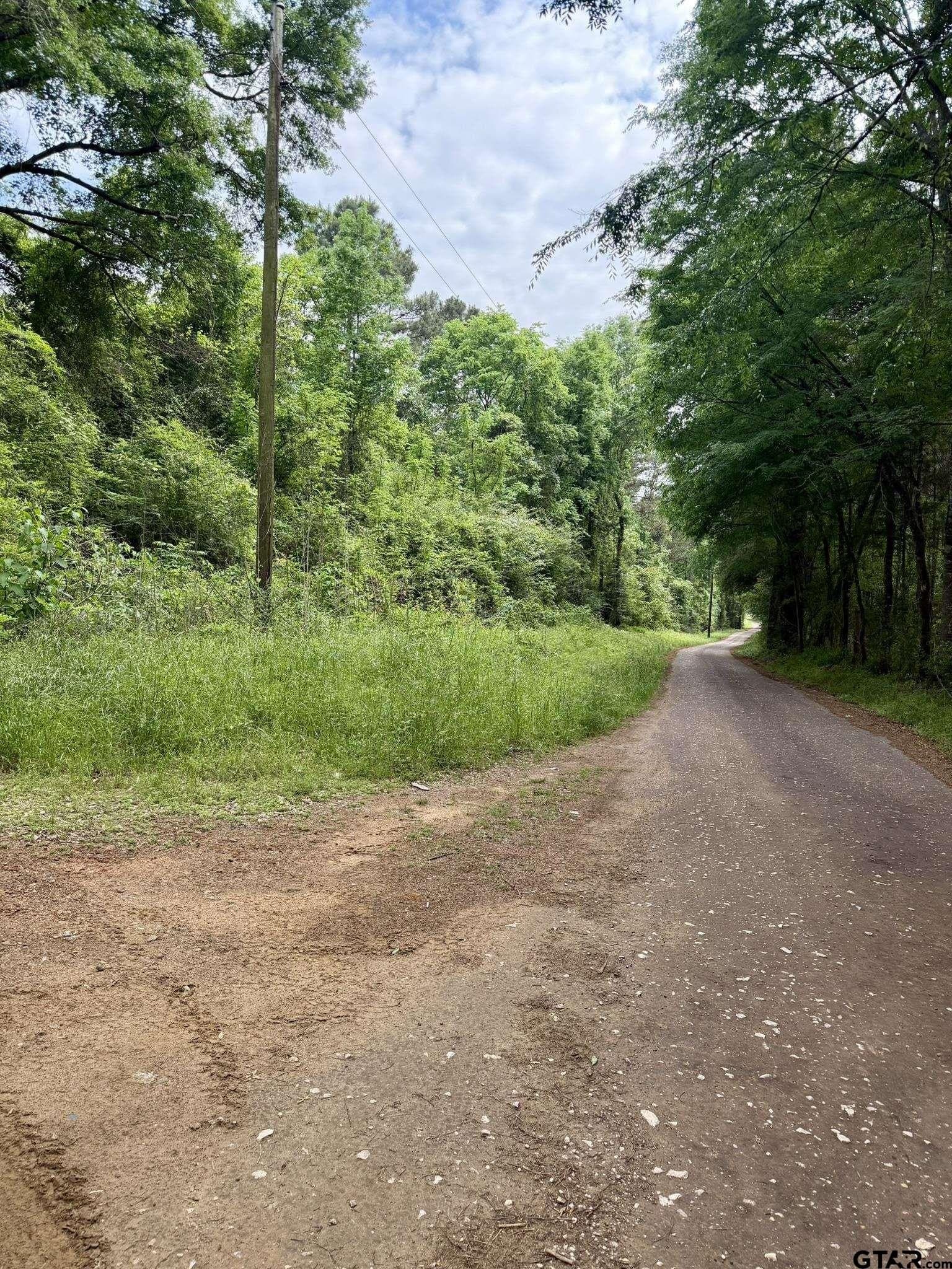 23.41 acres in Shelby County featured view