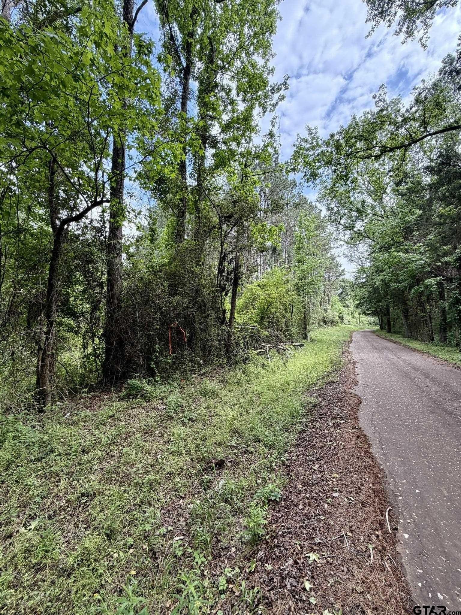 23.41 acres in Shelby County gallery image 3