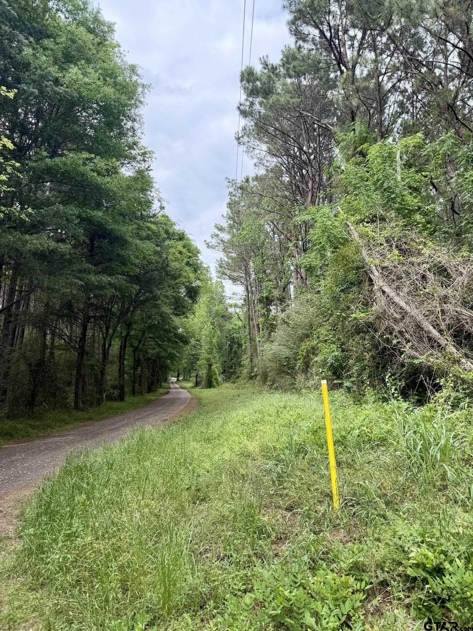 23.41 acres in Shelby County gallery image 4