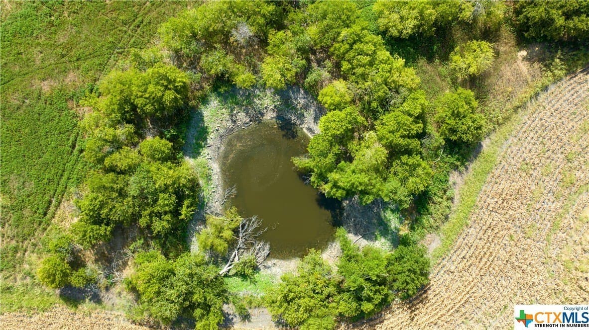 320 acres in Milam County