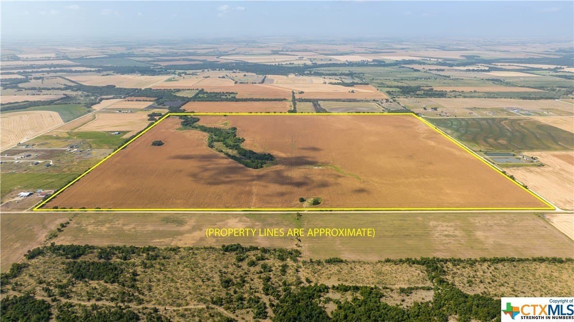 320 acres in Milam County gallery image 3