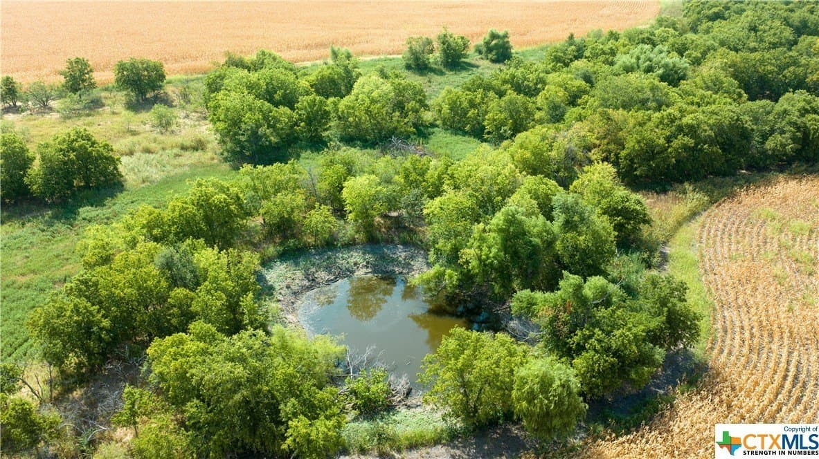 320 acres in Milam County gallery image 2