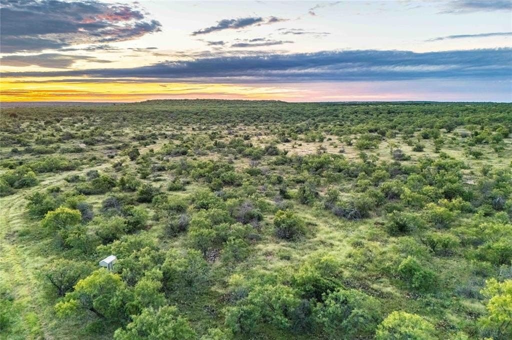 128.26 acres in Coleman County gallery image 2