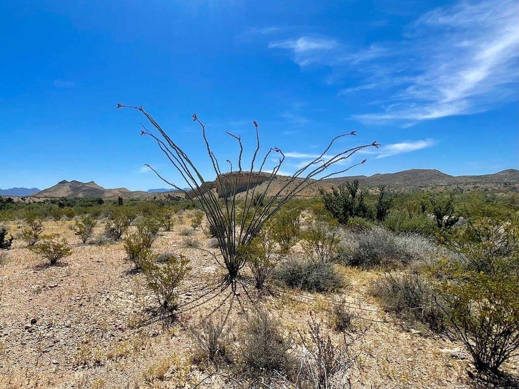 40 acres in Brewster County gallery image 3