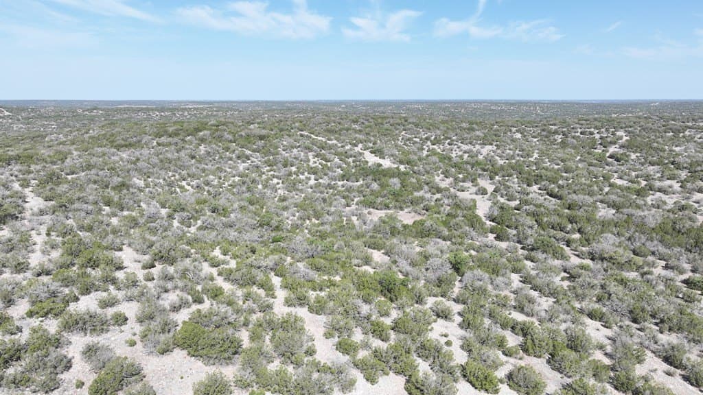 352 acres in Edwards County gallery image 2