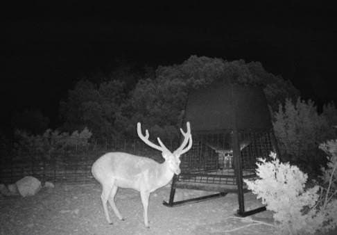 352 acres in Edwards County