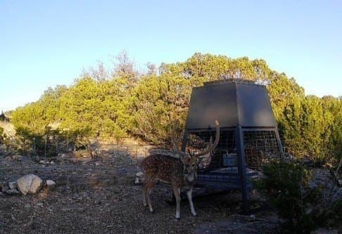 352 acres in Edwards County gallery image 4