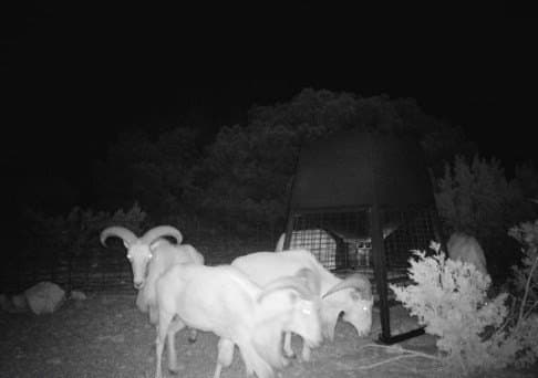 352 acres in Edwards County gallery image 3