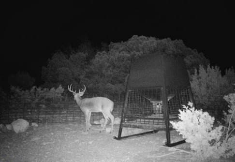 352 acres in Edwards County featured view