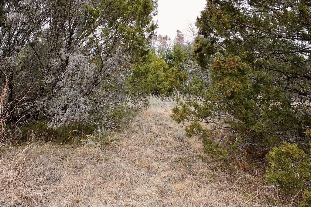 0.07 acres in Hood County featured view