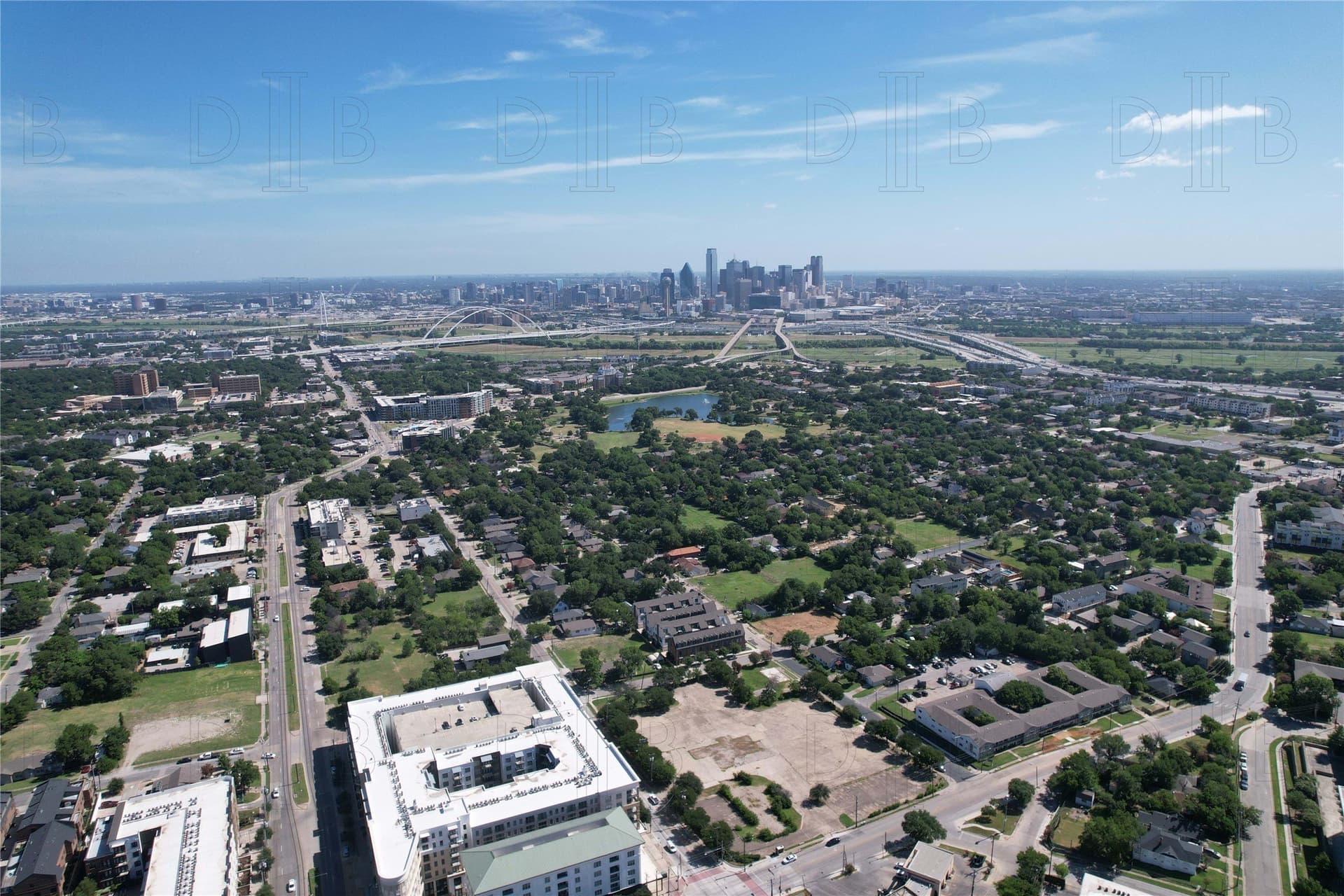 1.43 acres in Dallas County - photo 9
