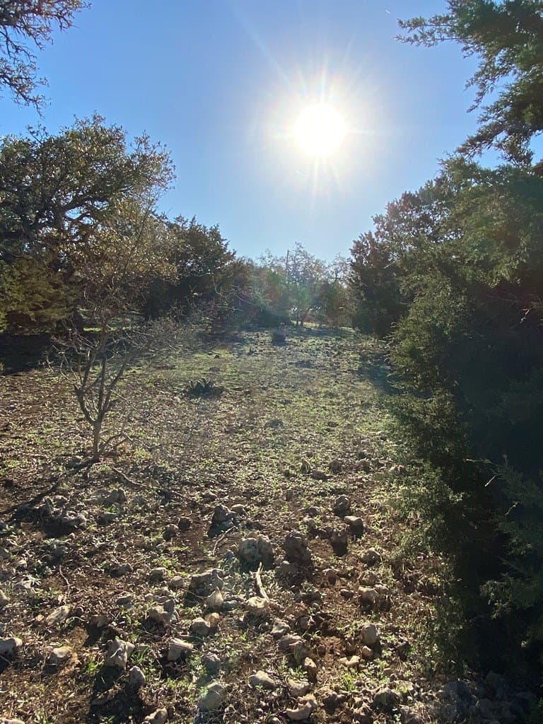 5 acres in Kendall County - photo 18