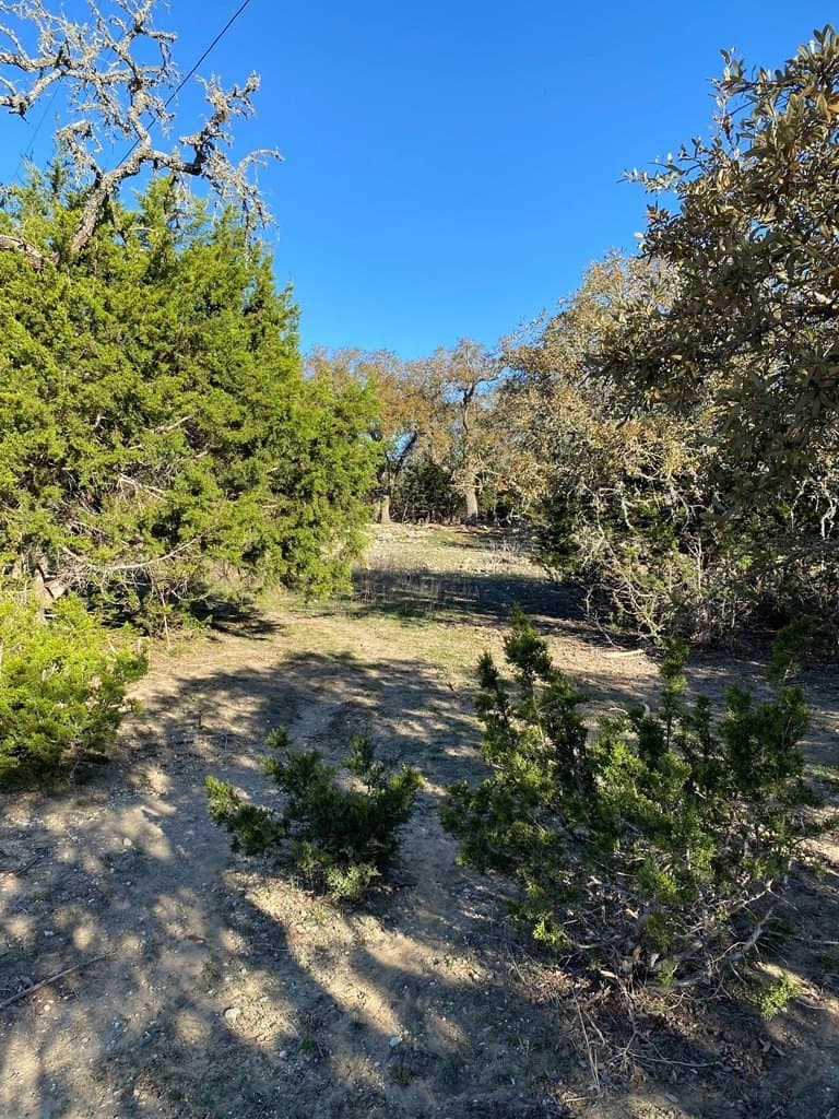5 acres in Kendall County - photo 20