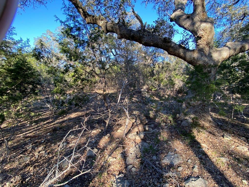 5 acres in Kendall County - photo 13