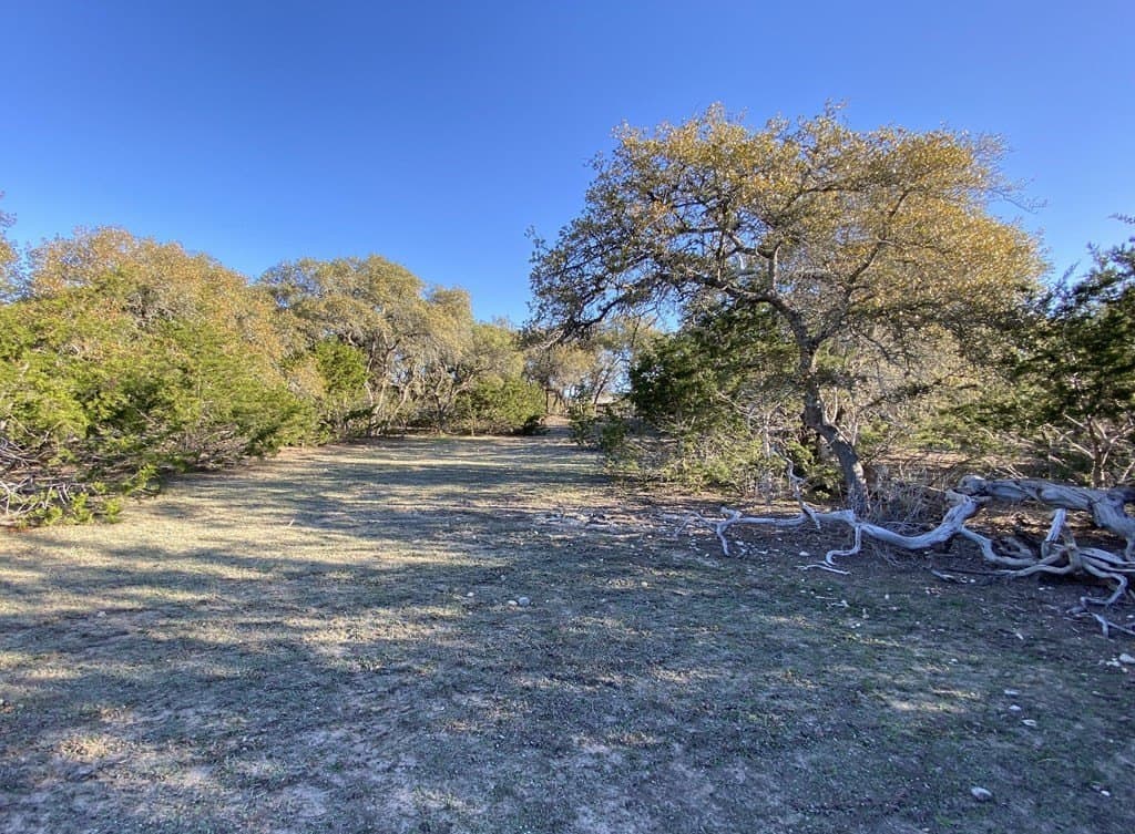 5 acres in Kendall County gallery image 3