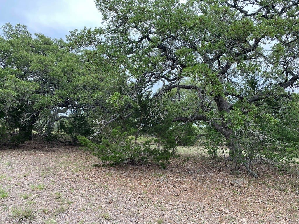 5 acres in Kendall County - photo 9