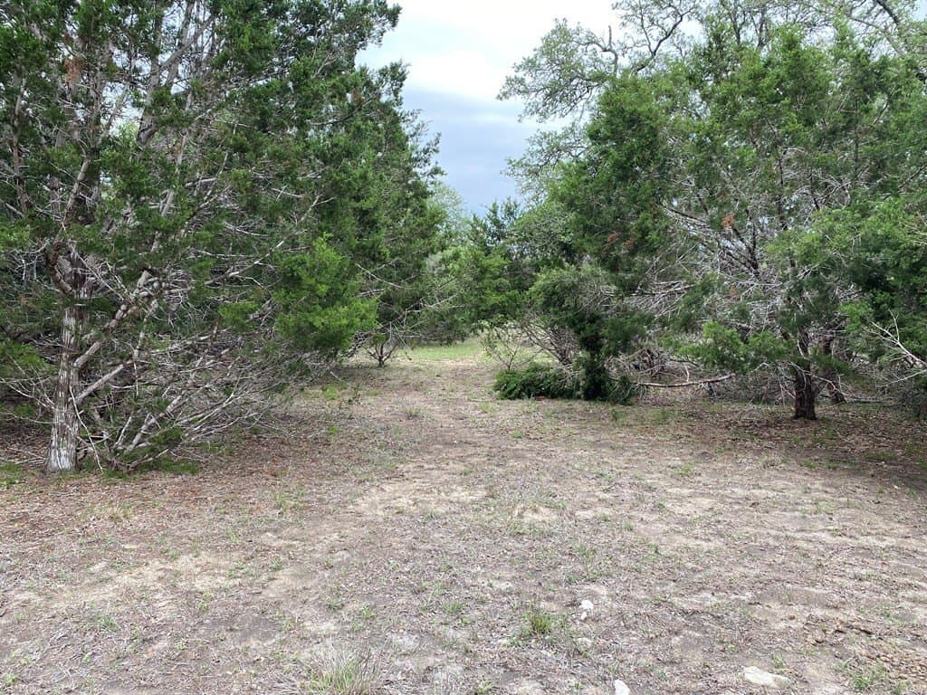 5 acres in Kendall County - photo 8