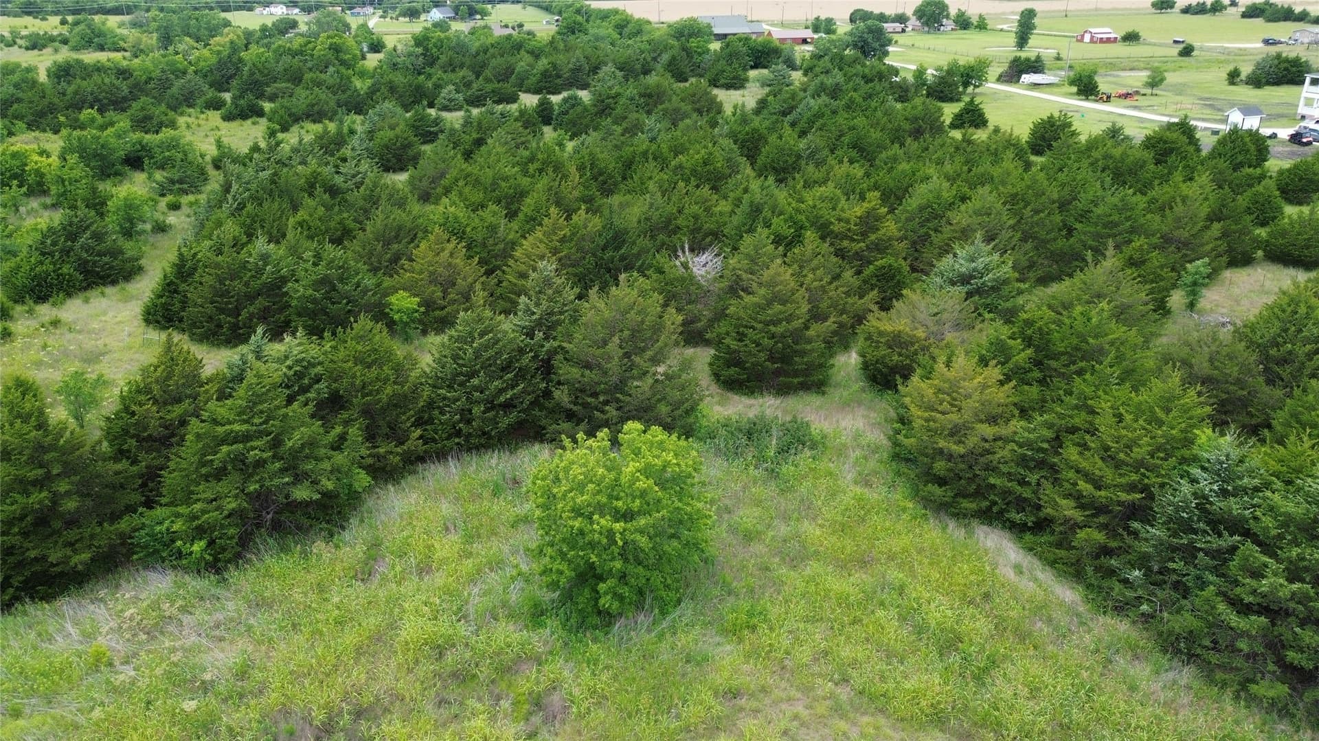 9.28 acres in Collin County gallery image 4