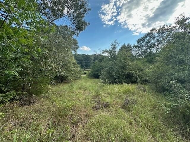 0.83 acres in Van Zandt County - photo 3