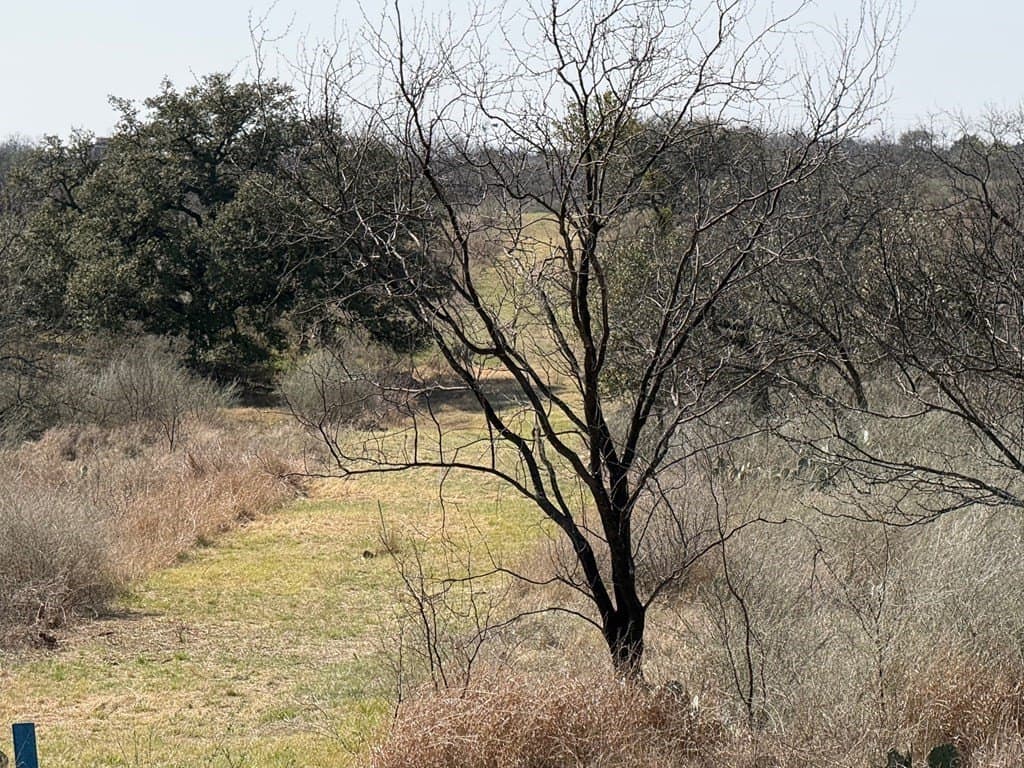 10.19 acres in Llano County - photo 11