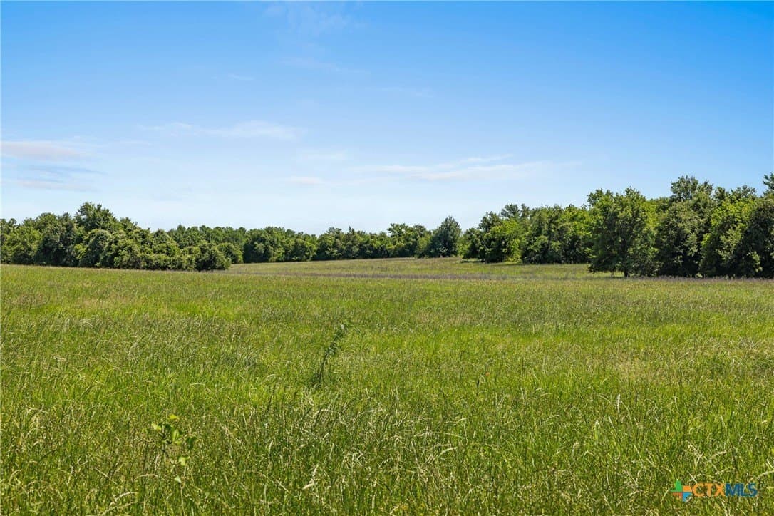 10 acres in Milam County gallery image 3