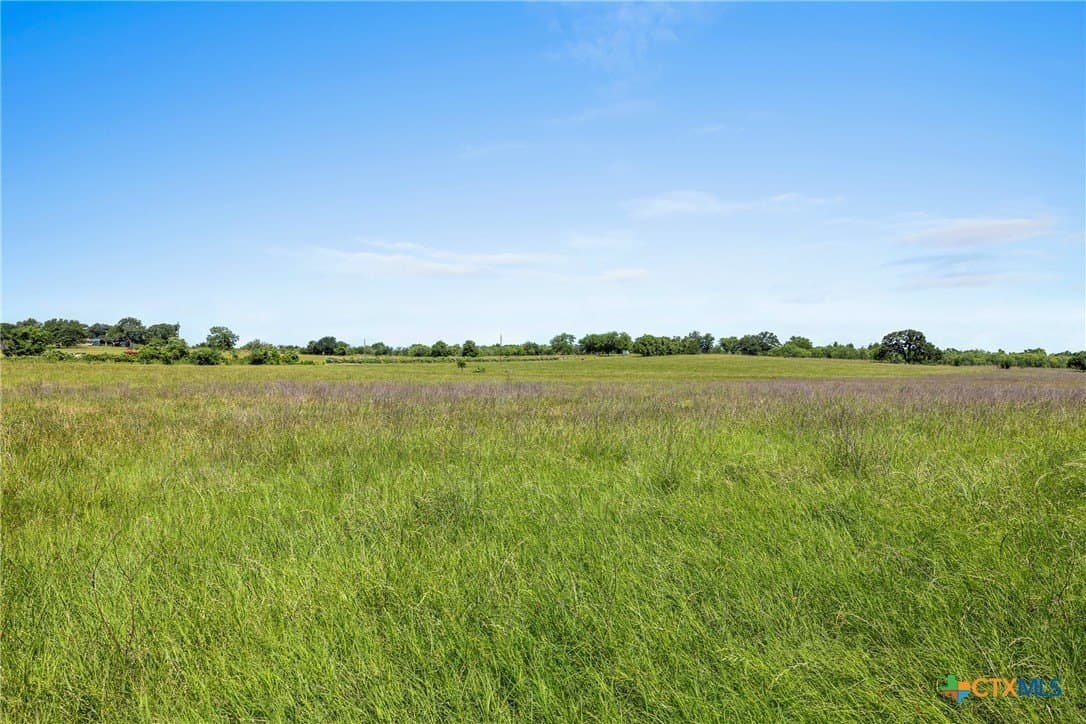 10 acres in Milam County gallery image 2