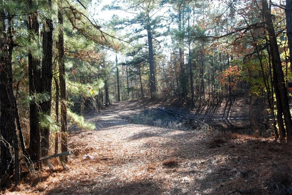 19.98 acres in Wood County