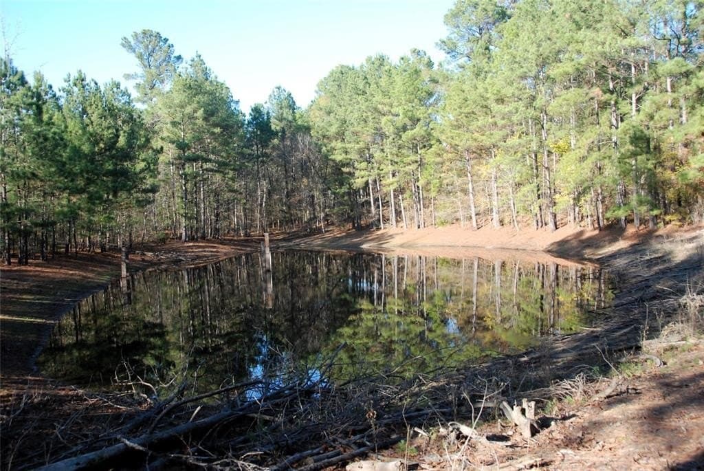 19.98 acres in Wood County gallery image 3