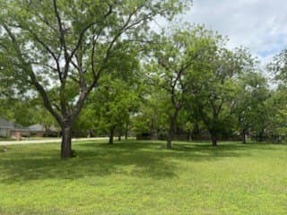 0.36 acres in Hood County gallery image 2