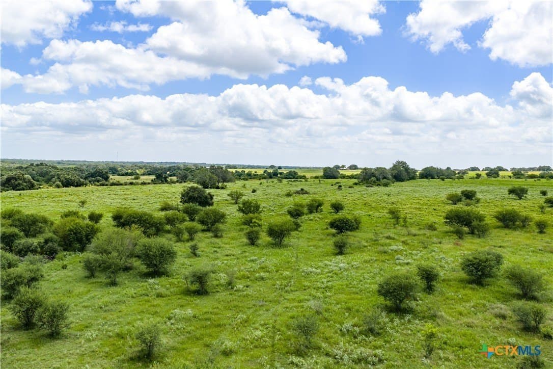 163.08 acres in Goliad County gallery image 4