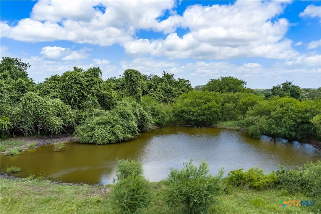 163.08 acres in Goliad County featured view