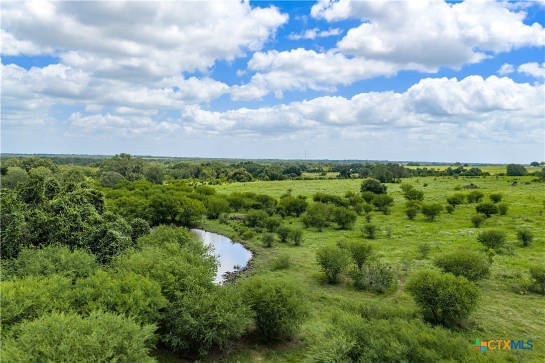 163.08 acres in Goliad County gallery image 3