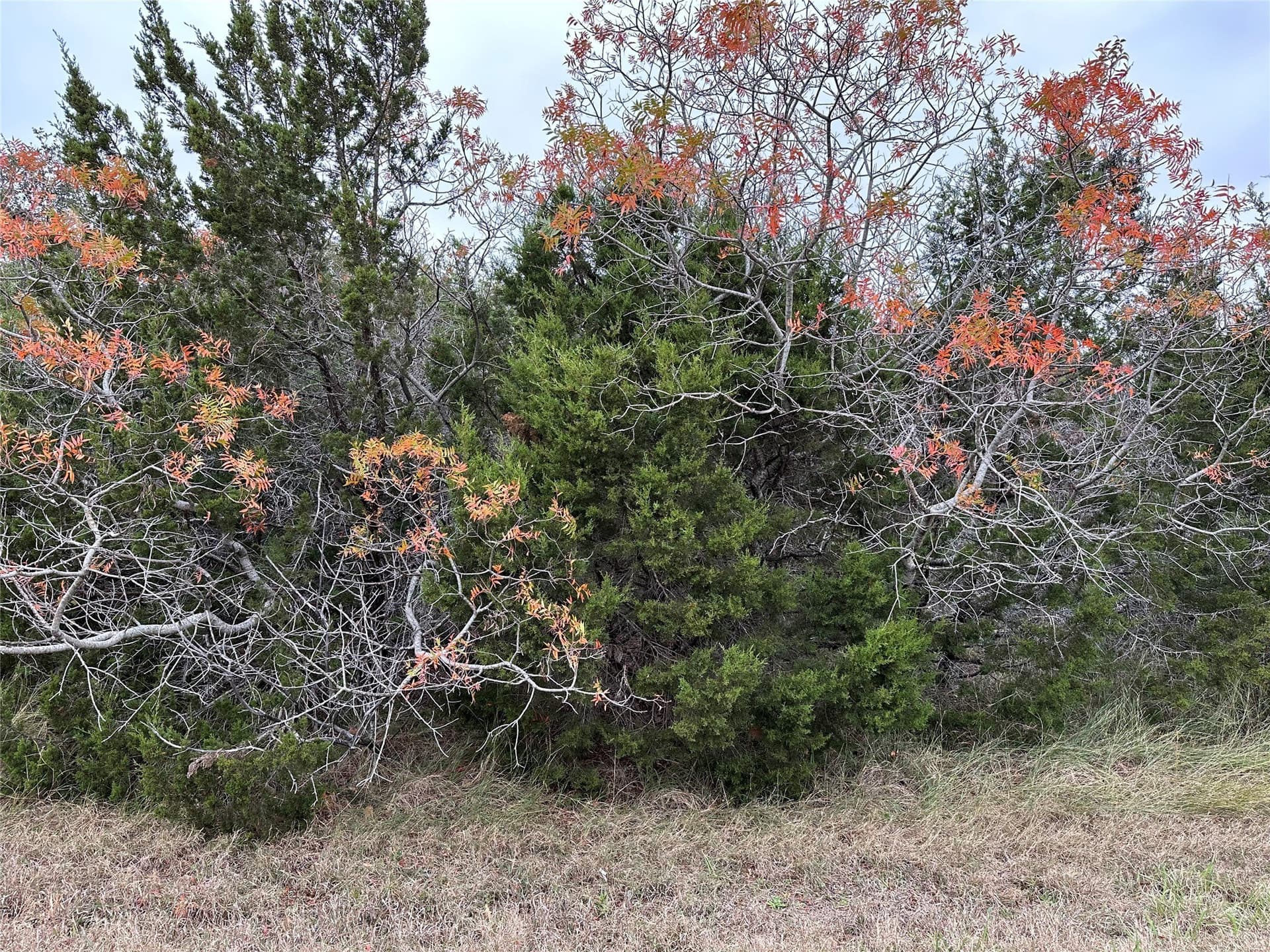 0.3 acres in Hill County
