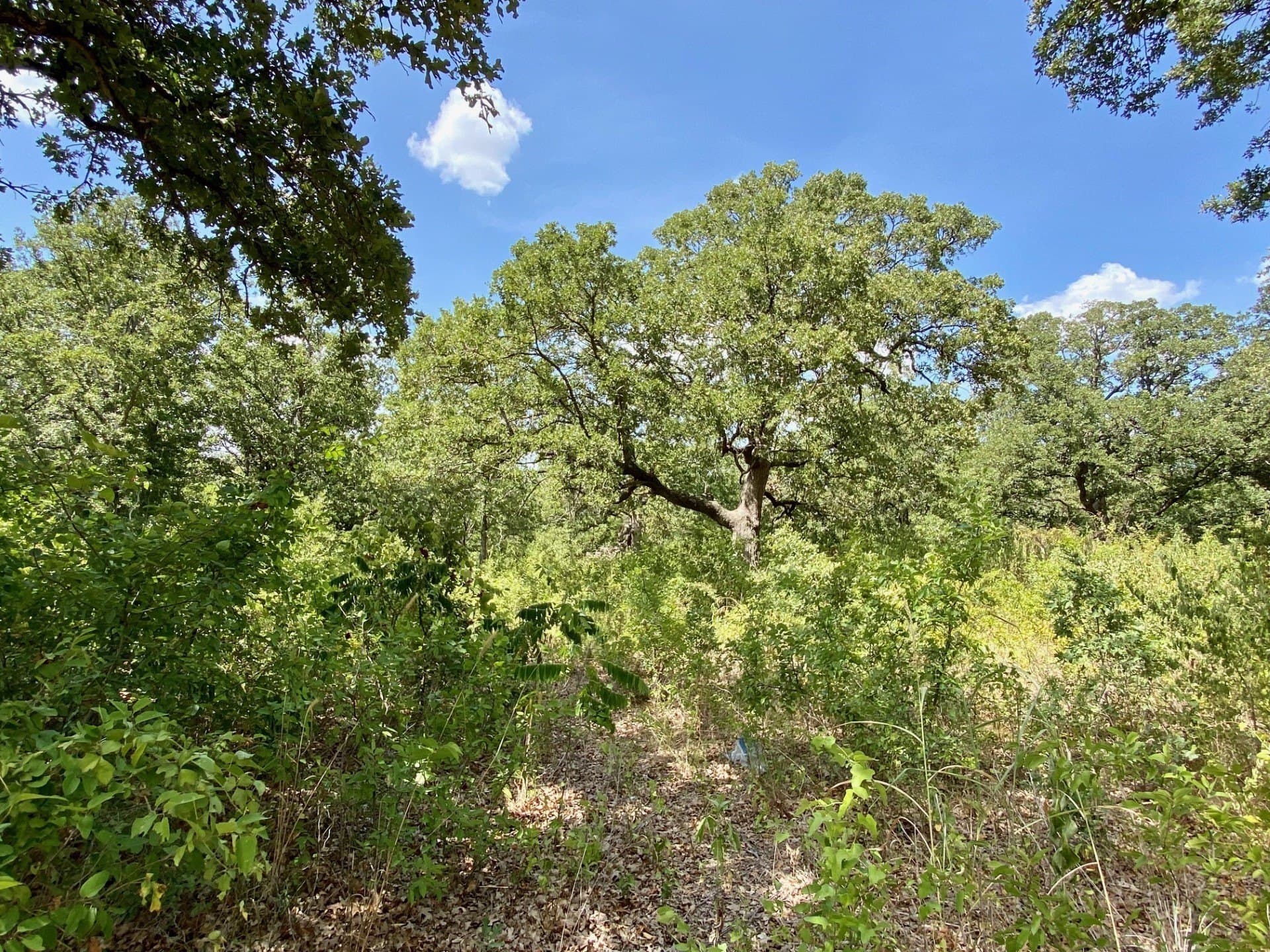 2.02 acres in Erath County featured view