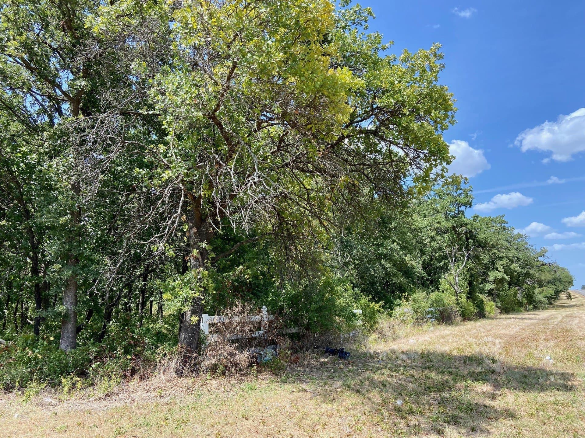 2.02 acres in Erath County gallery image 3