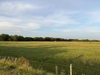 10.03 acres in Comanche County - photo 16