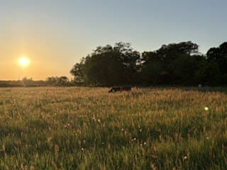 10.03 acres in Comanche County - photo 34