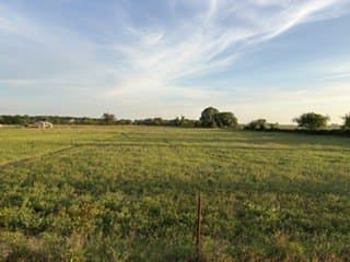 10.03 acres in Comanche County - photo 17