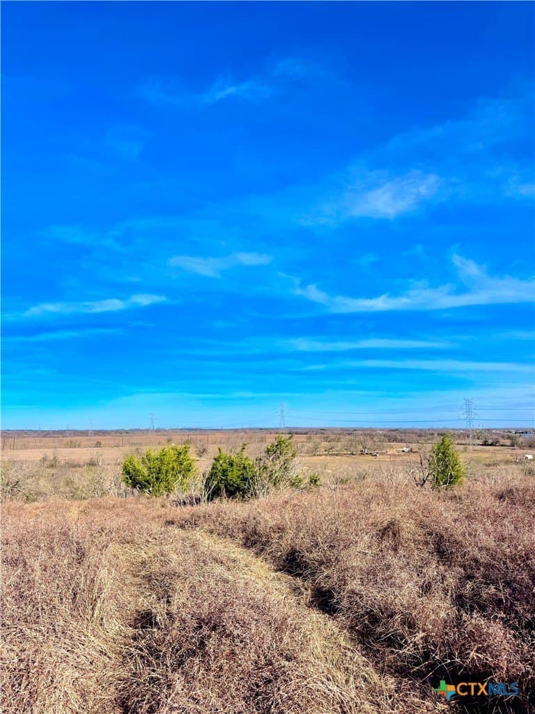 11.48 acres in Guadalupe County gallery image 3
