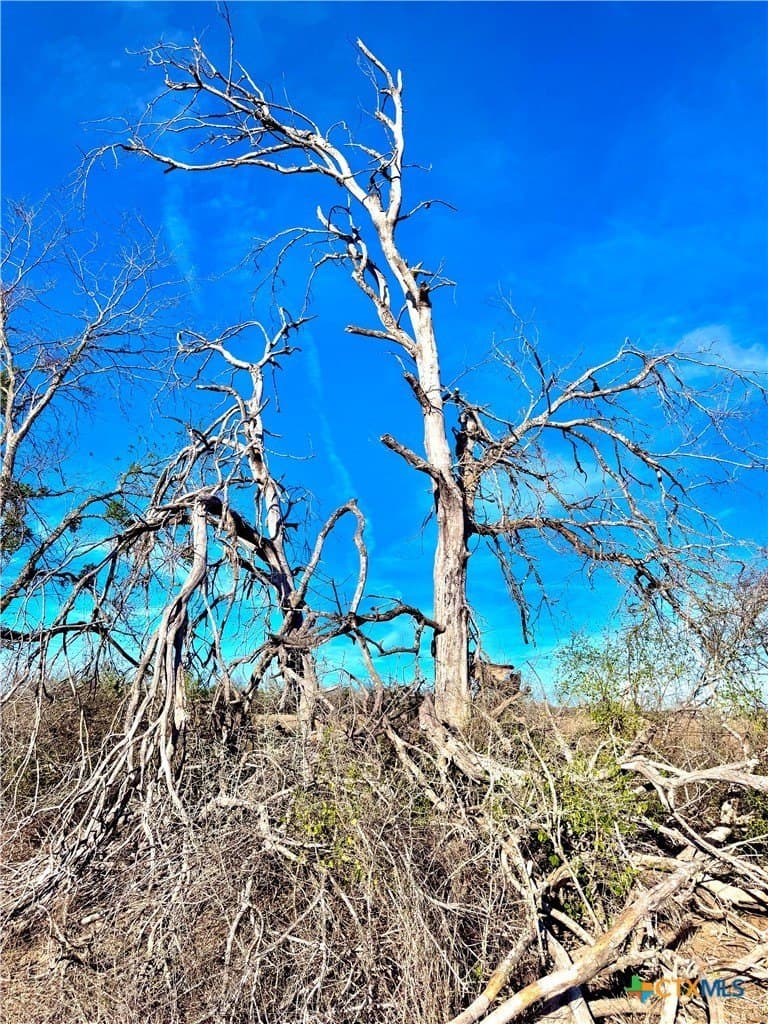 11.48 acres in Guadalupe County - photo 6