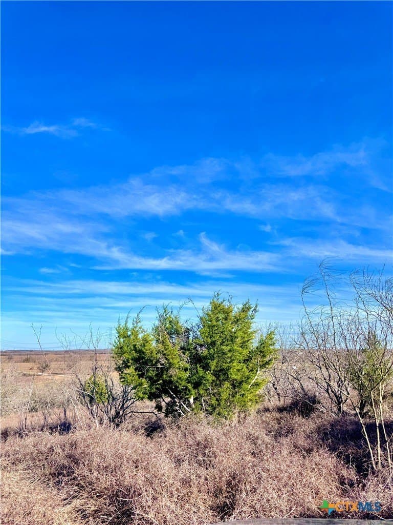 11.48 acres in Guadalupe County gallery image 4